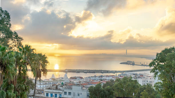 istockphoto-1436508288-612x612-1
