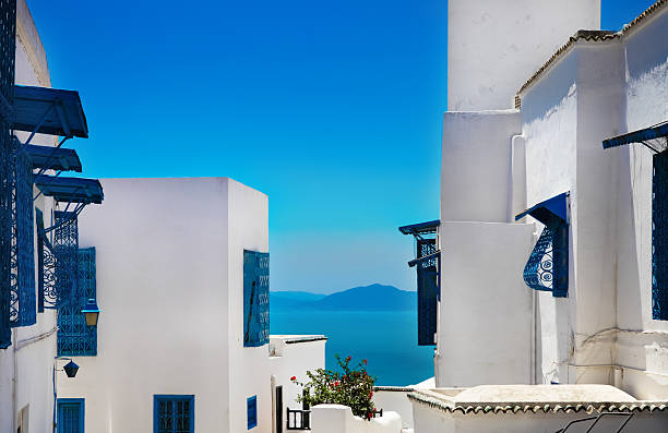 Sidi Bou Said. La Gulett, Tunisia. White and blue town
